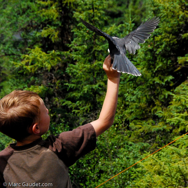 1/4000 sec at f / 9.0