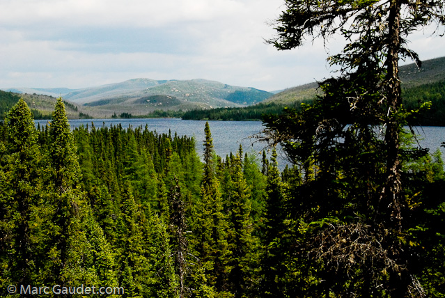 1/1250 sec at f / 16