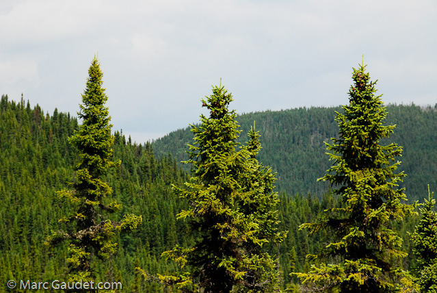 1/1250 sec at f / 16