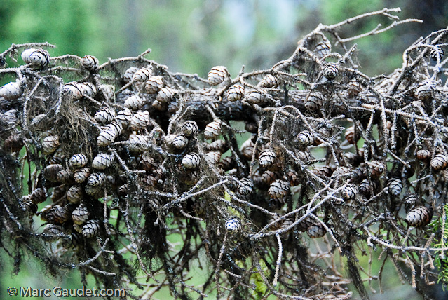 1/800 sec at f / 5.6