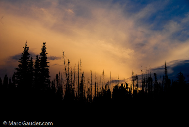 1/100 sec at f / 6.3