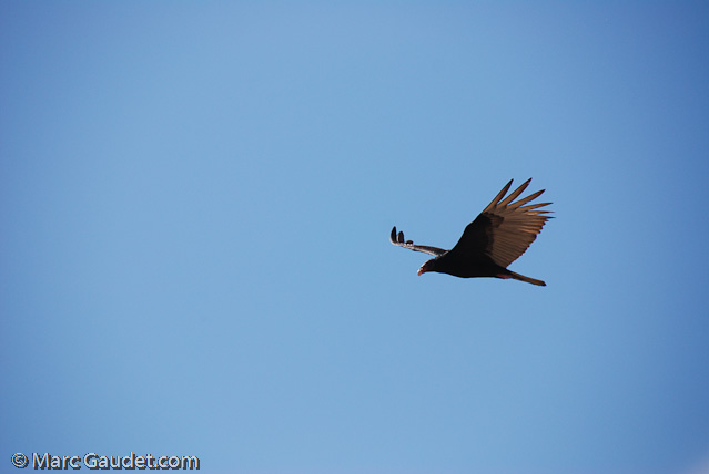 1/1600 sec at f / 5.6