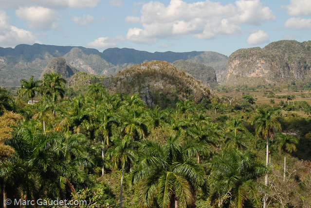 1/1250 sec at f / 13