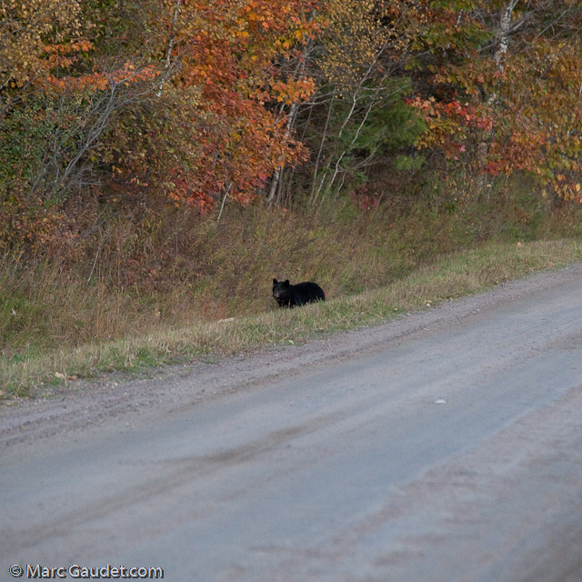 1/500 sec at f / 5.0