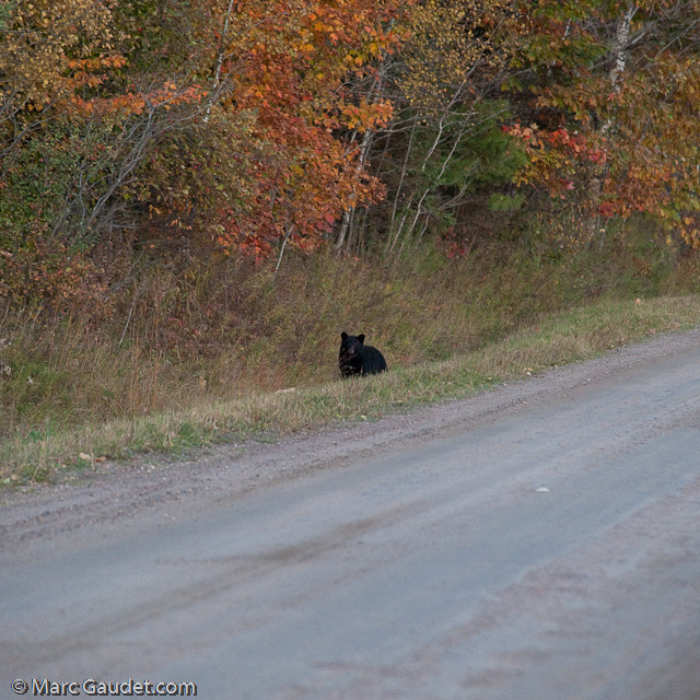 1/500 sec at f / 5.0