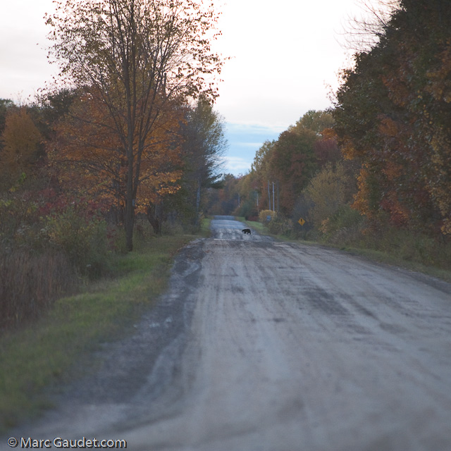 1/640 sec at f / 3.2