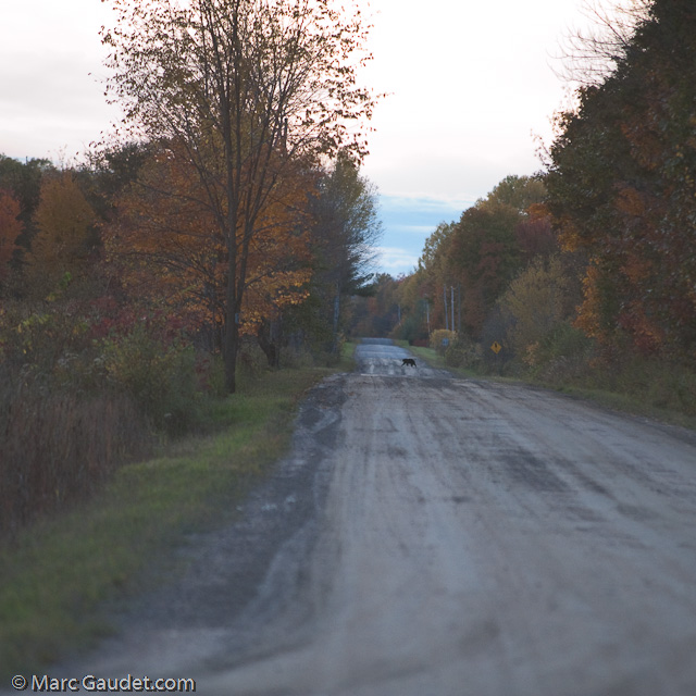 1/640 sec at f / 3.2