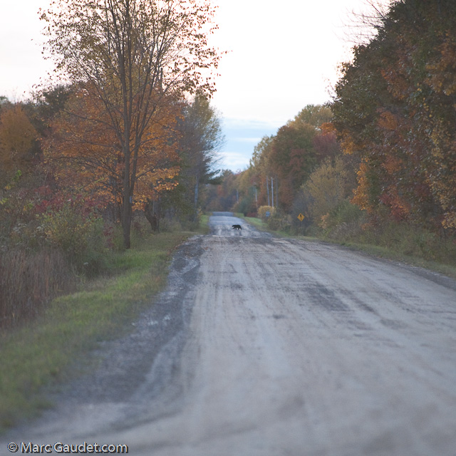 1/640 sec at f / 3.2