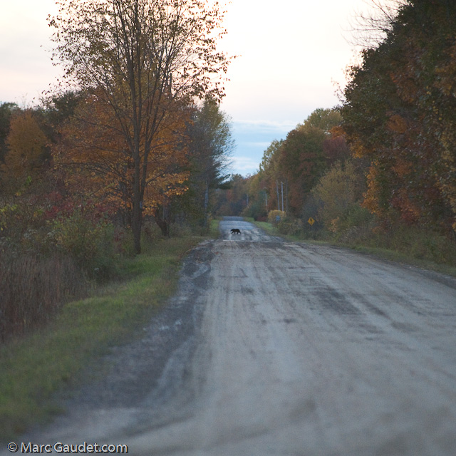 1/1600 sec at f / 3.2