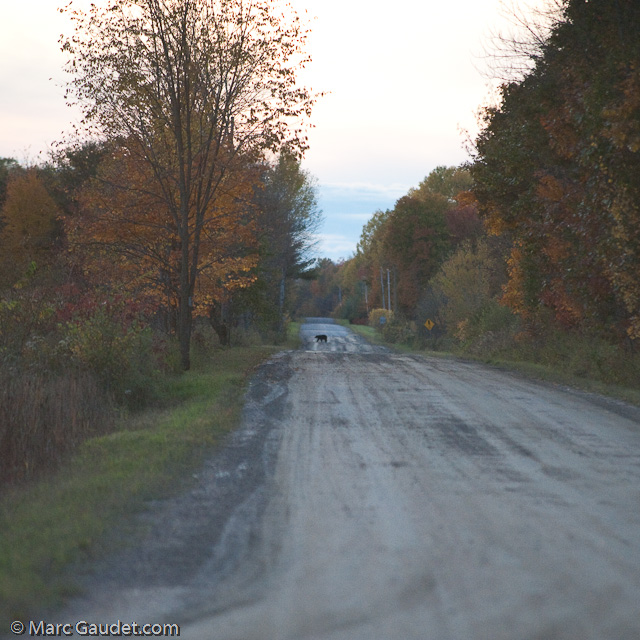 1/1600 sec at f / 3.2