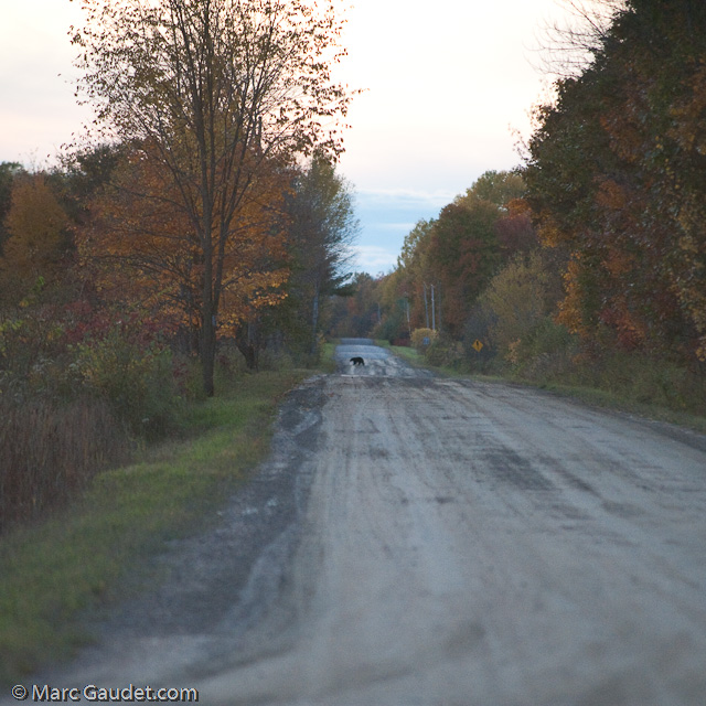 1/1600 sec at f / 3.2