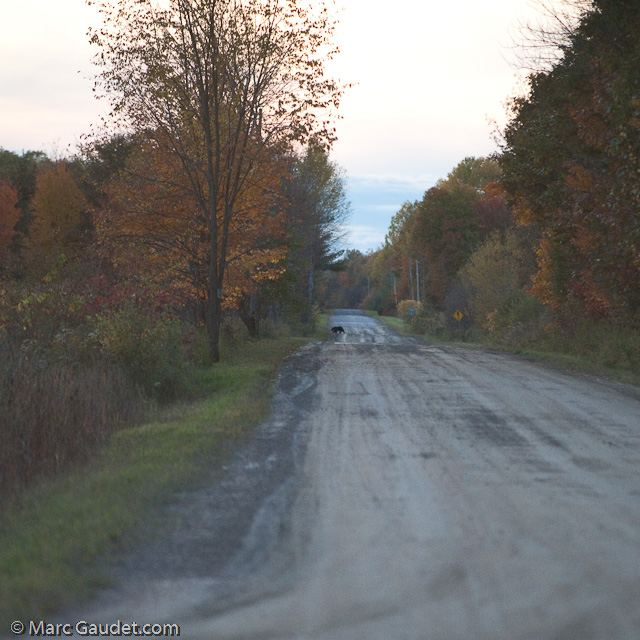 1/1600 sec at f / 3.2