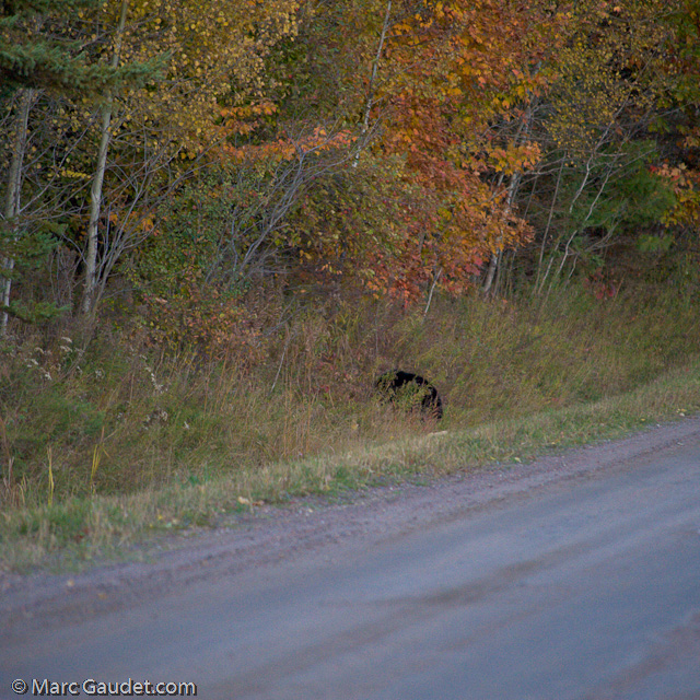 1/500 sec at f / 3.2