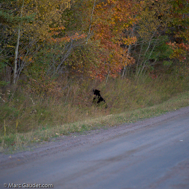 1/500 sec at f / 3.2