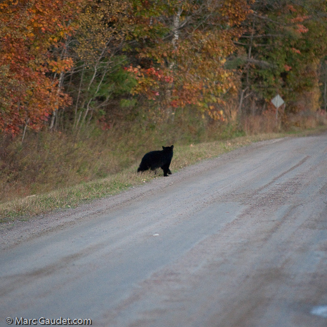 1/500 sec at f / 3.2