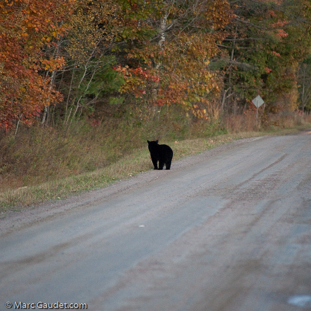 1/500 sec at f / 3.2