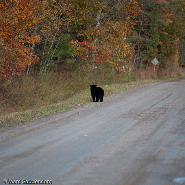 1/500 sec at f / 3.2