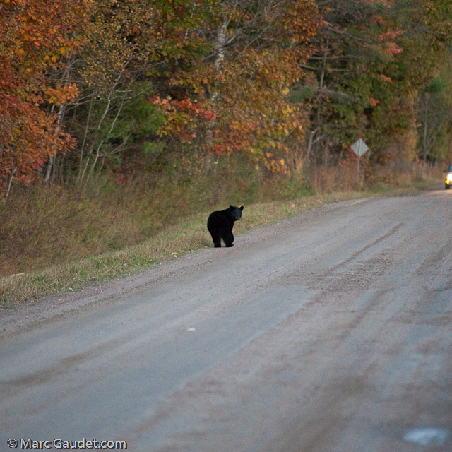 1/500 sec at f / 3.2