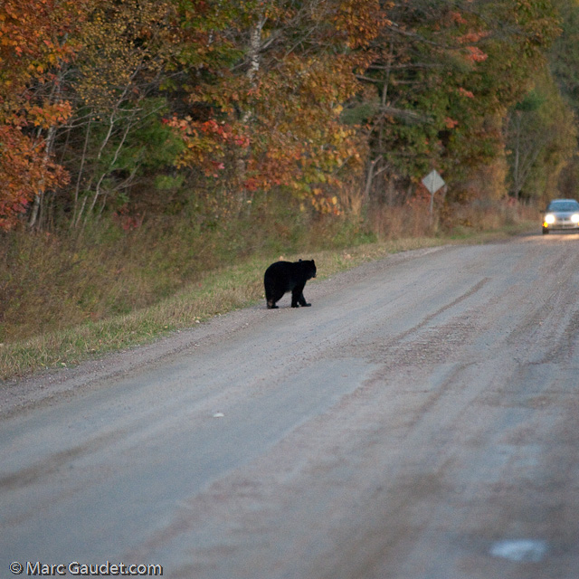 1/500 sec at f / 3.2