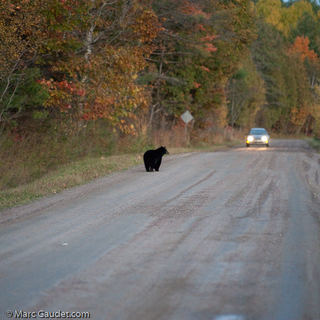 1/500 sec at f / 3.2