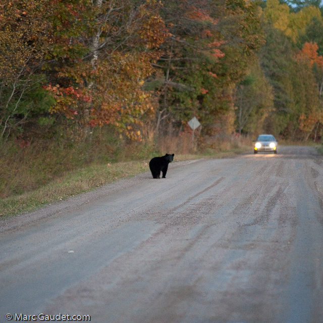 1/500 sec at f / 3.2