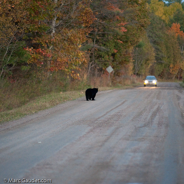 1/500 sec at f / 3.2