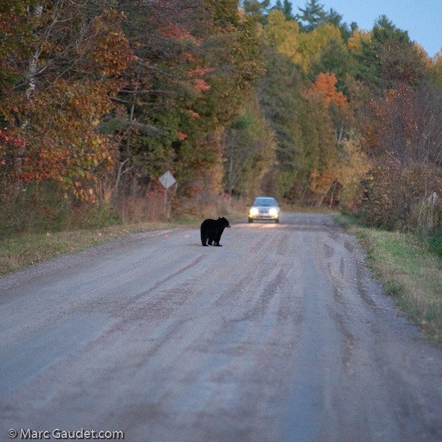 1/500 sec at f / 3.2