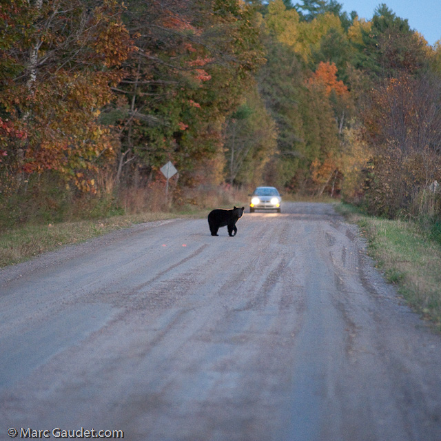 1/500 sec at f / 3.2