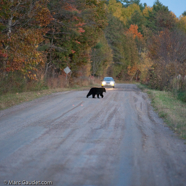 1/500 sec at f / 3.2