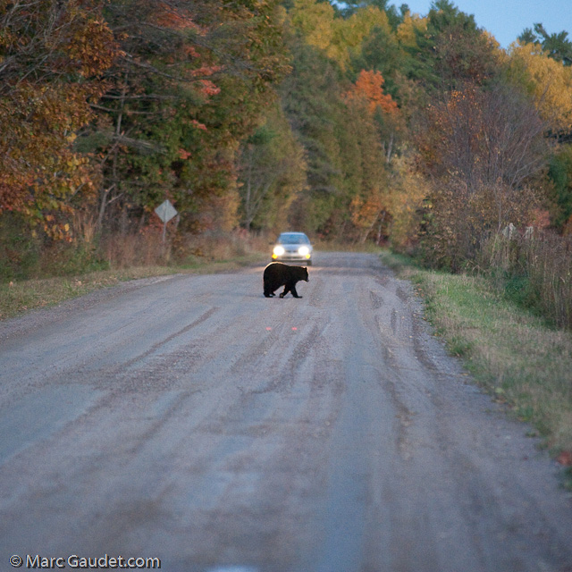 1/500 sec at f / 3.2