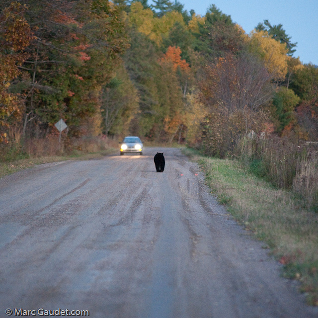 1/500 sec at f / 3.2