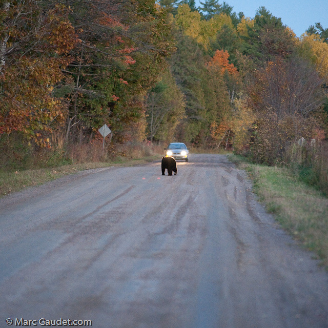 1/500 sec at f / 3.2