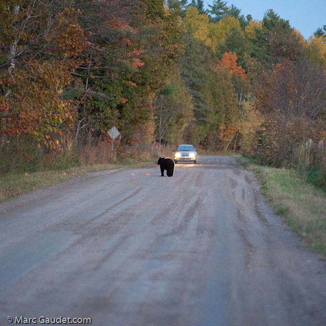 1/500 sec at f / 3.2