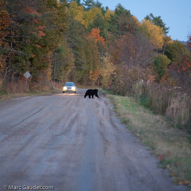 1/500 sec at f / 3.2