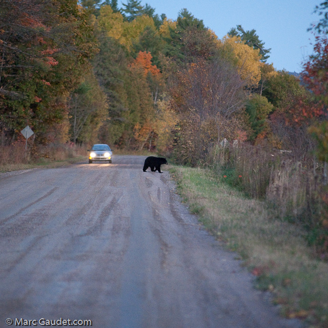 1/500 sec at f / 3.2