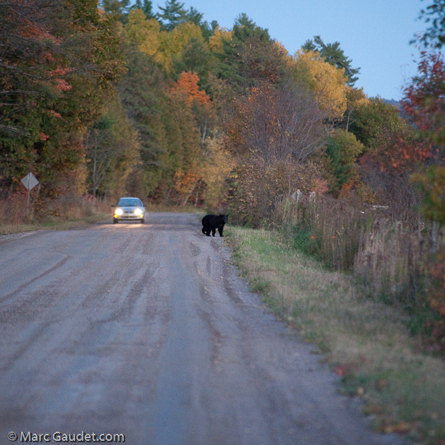 1/500 sec at f / 3.2