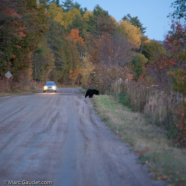 1/500 sec at f / 3.2