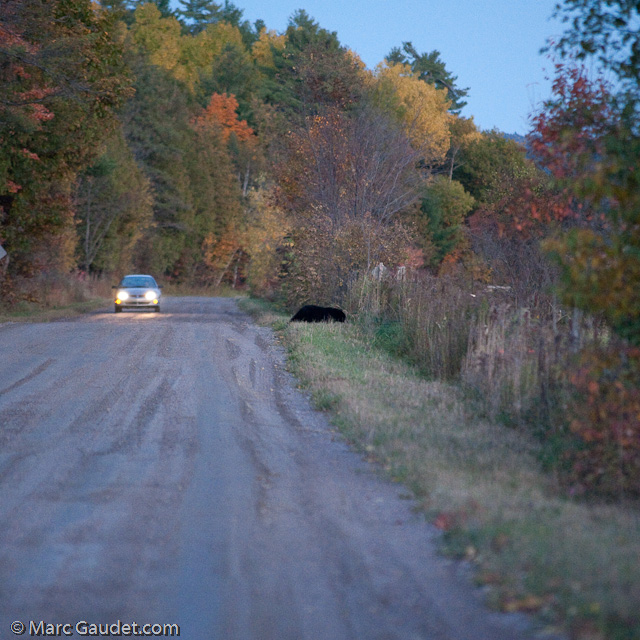 1/500 sec at f / 3.2