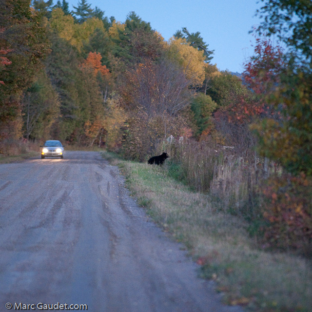 1/500 sec at f / 3.2