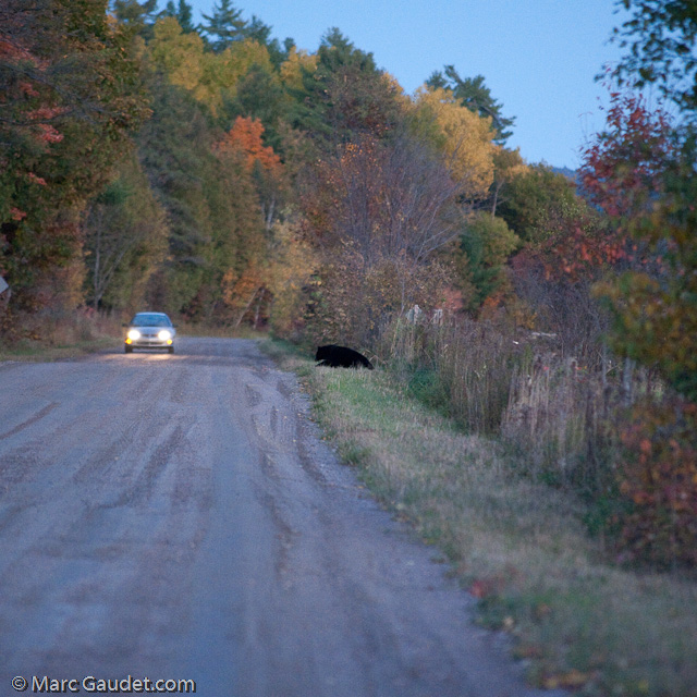 1/500 sec at f / 3.2