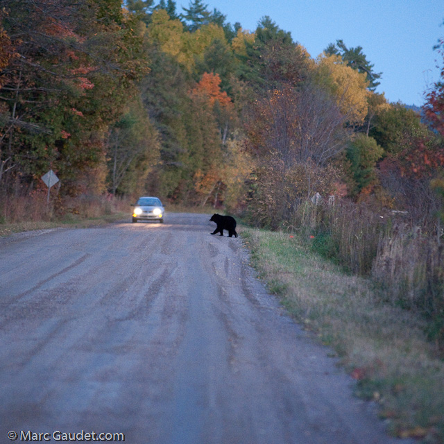 1/500 sec at f / 3.2