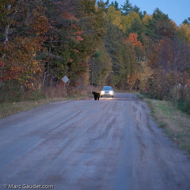 1/500 sec at f / 3.2