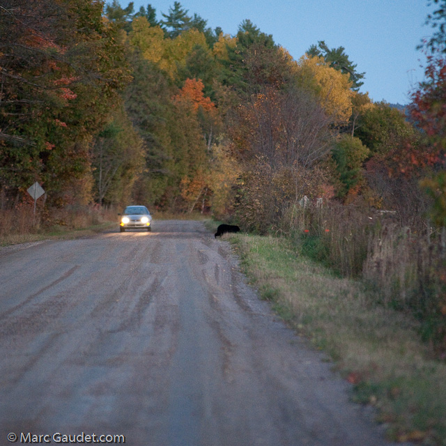 1/500 sec at f / 3.2