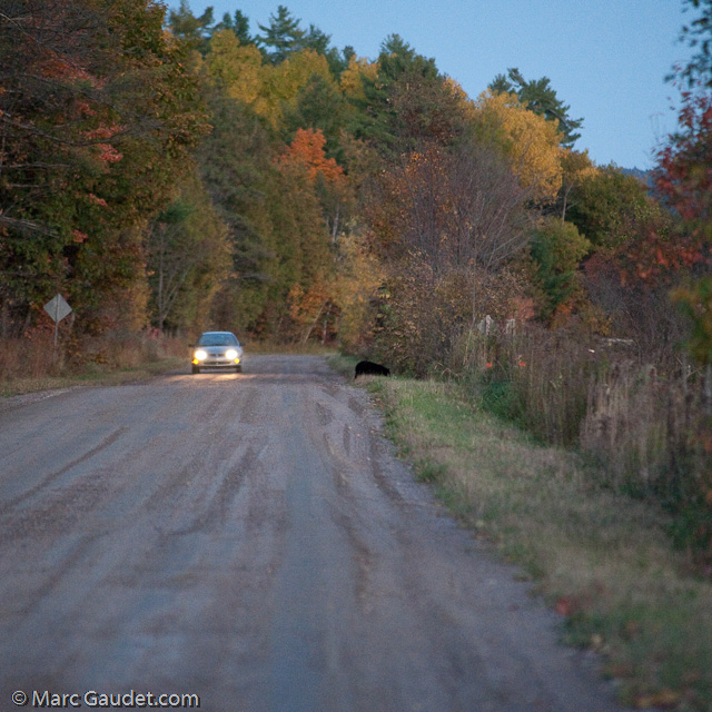 1/500 sec at f / 3.2