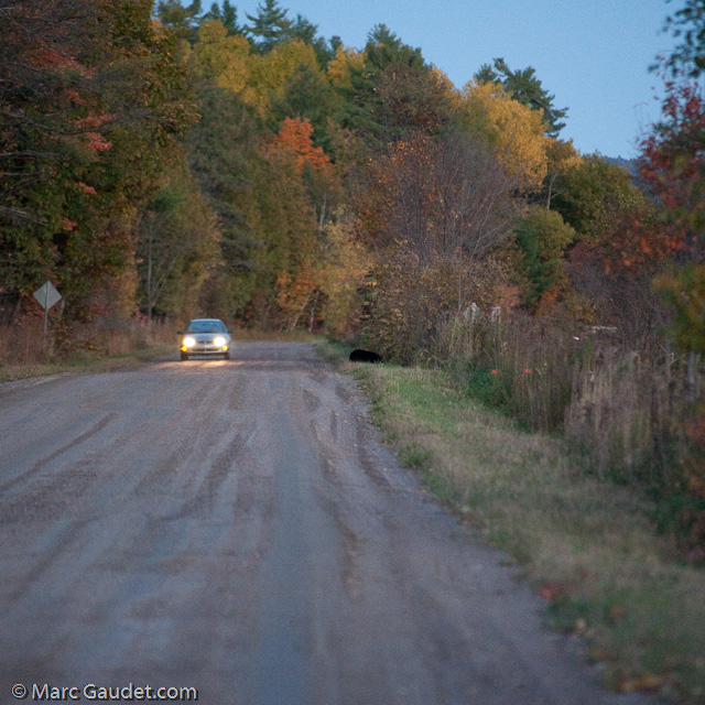 1/500 sec at f / 3.2