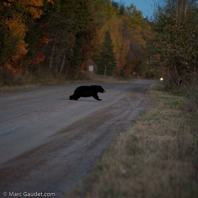 1/500 sec at f / 3.2