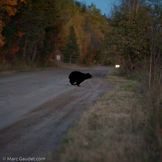 1/500 sec at f / 3.2