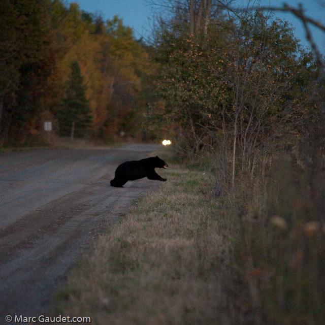 1/500 sec at f / 3.2