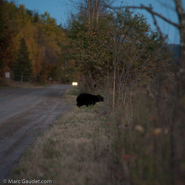 1/500 sec at f / 3.2