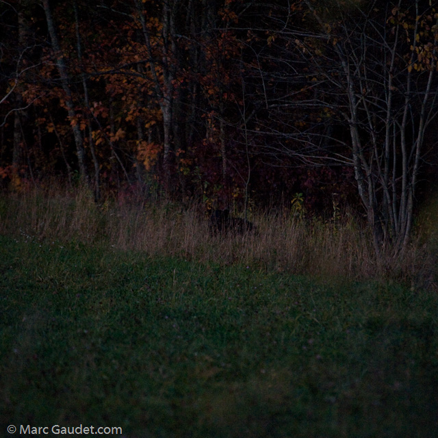 1/500 sec at f / 3.2